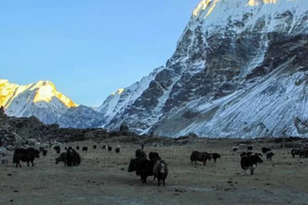Best Time for Kanchenjunga Base Camp Trek