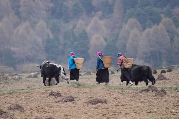Explore Manaslu Circuit