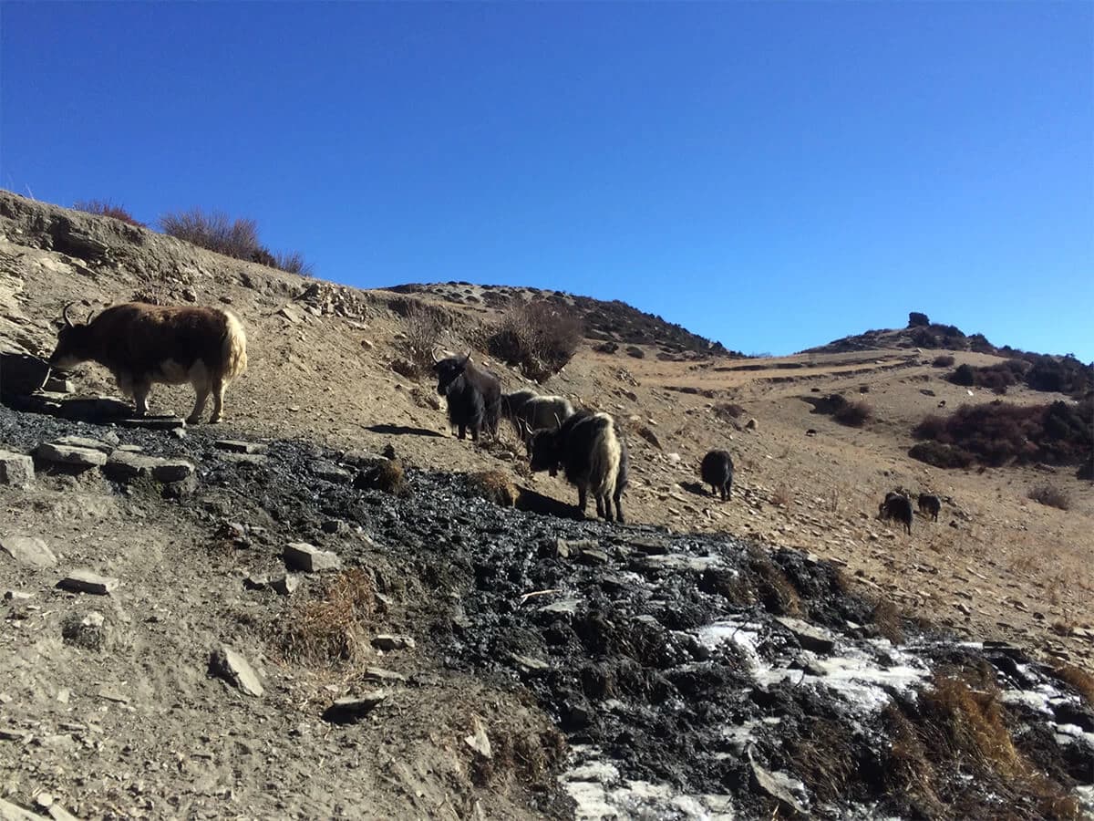 Everest Base Camp via Gokyo Trek