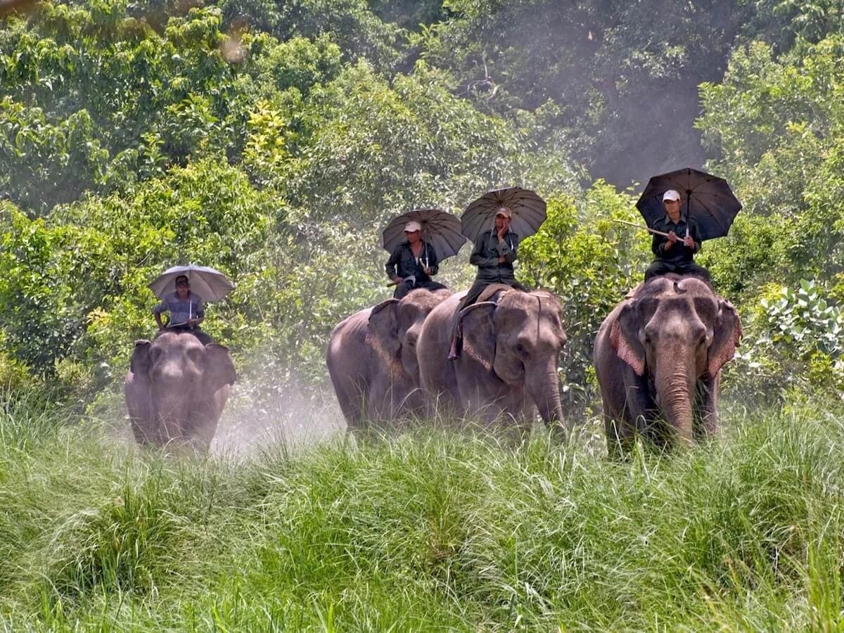 Elephant Riding