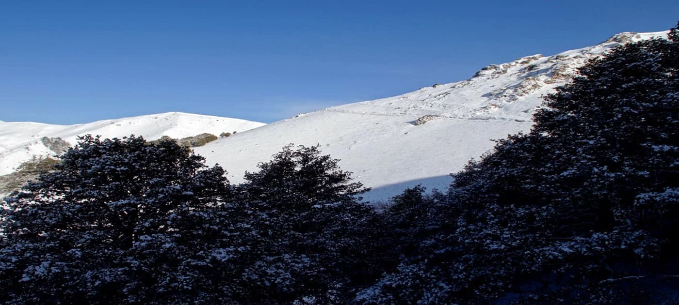 Nepal Trekking