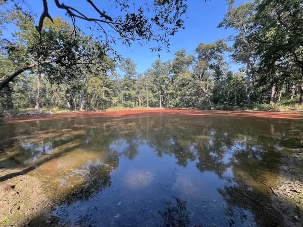 Bardiya National Park