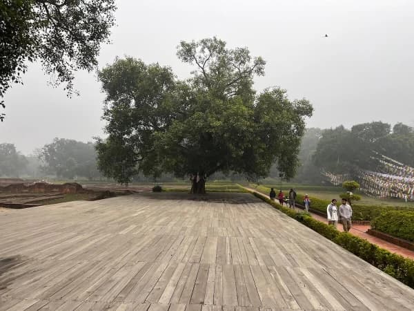 Meditation Area