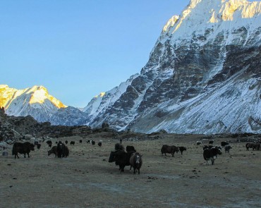 Kanchenjunga Base Camp