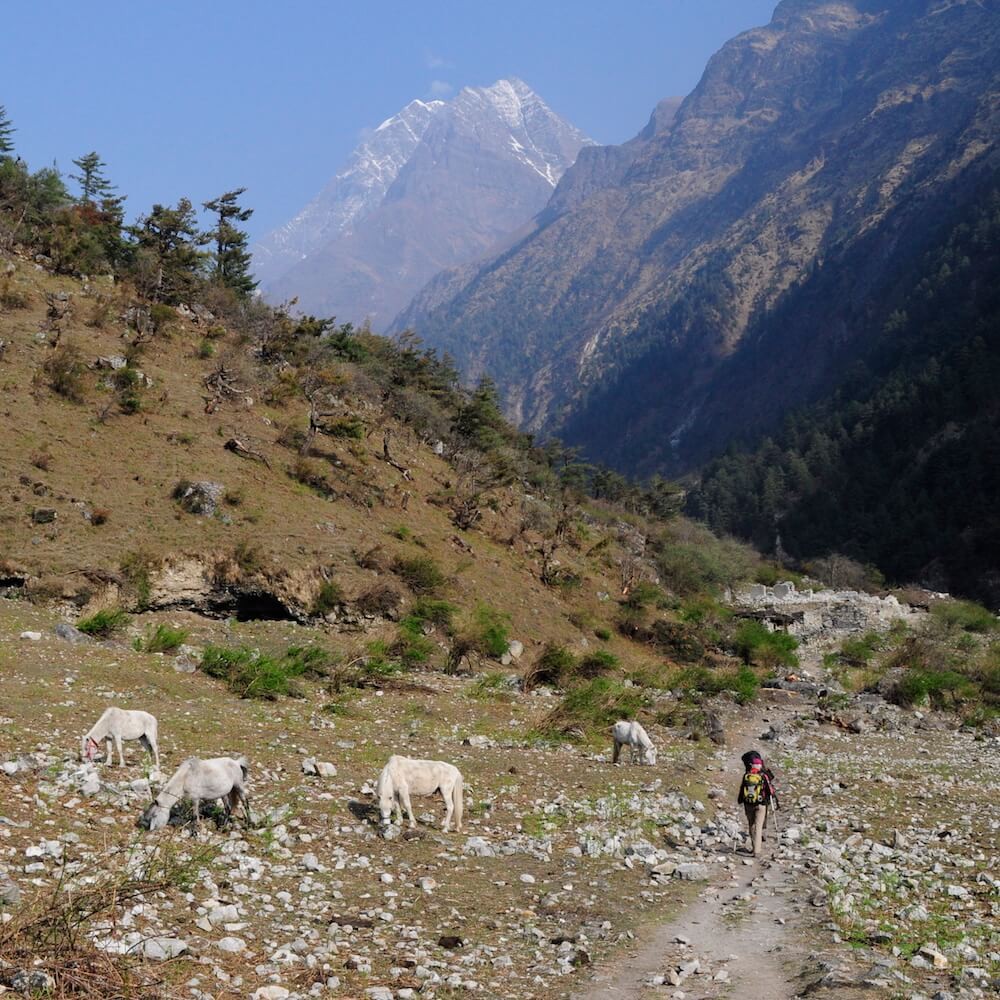 Manaslu Circuit Trek 